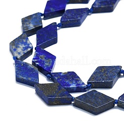 Natural Lapis Lazuli Beads Strands&nbsp;G-K245-E05-A02