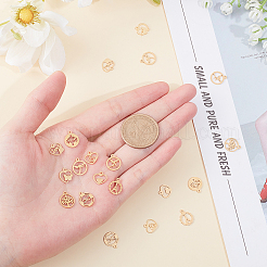 20Pcs 10 Style 304 Stainless Steel Charms&nbsp;STAS-UN0020-17G