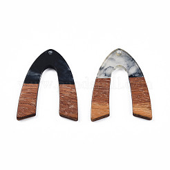 Transparent Resin & Walnut Wood Pendants&nbsp;RESI-N025-029-C