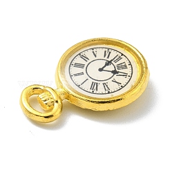 Alloy Enamel Pendants&nbsp;FIND-G020-A01-G