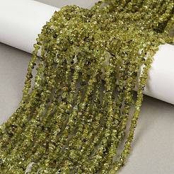 Natural Peridot Beads Strands&nbsp;G-P332-48-02