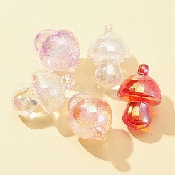 Transparent Acrylic Pendants&nbsp;MACR-FS0001-54