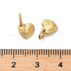 304 Stainless Steel Charms&nbsp;STAS-R151-06G