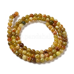 Natural Serpentine Beads Strands&nbsp;G-H298-A10-01