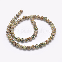 Natural Tibetan Turtle Back Pattern dZi Agate Beads Strands&nbsp;G-F354-04