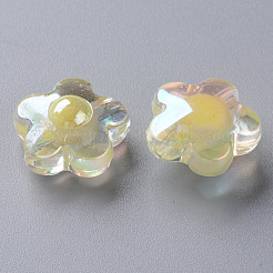 Transparent Acrylic Beads&nbsp;TACR-S152-09B-07