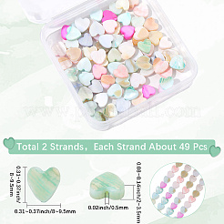 2 Strands Macaron Color Natural Shell Beads Strands&nbsp;SHEL-SC0001-88C