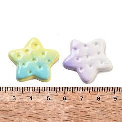 Gradient Color Opaque Resin Imitation Food Decoden Cabochons&nbsp;RESI-S04-05