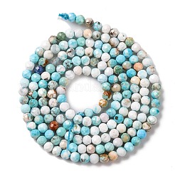Natural Howlite Beads Strands&nbsp;G-C025-02A-07