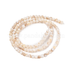 Natural Freshwater Shell Beads Strands&nbsp;SHEL-T011-02-3mm