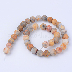 Natural Crazy Lace Agate Beads Strands&nbsp;X-G-Q462-8mm-12