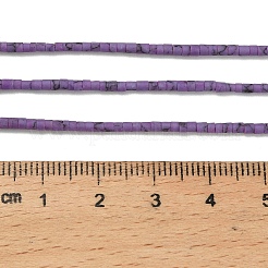 Dyed Synthetic Turquoise Beads Strands&nbsp;G-P594-01A-03
