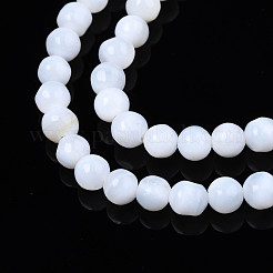 Natural Freshwater Shell Beads Strands&nbsp;X-SHEL-N003-24-A01