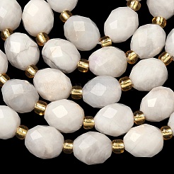 Natural White Crazy Agate Beads Strands&nbsp;G-F809-A54-01