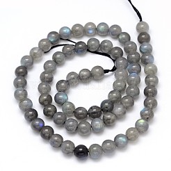 Natural Labradorite Round Bead Strands&nbsp;G-O087-05-6mm
