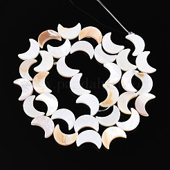 Natural Freshwater Shell Beads Strands&nbsp;SHEL-Q024-015B-01