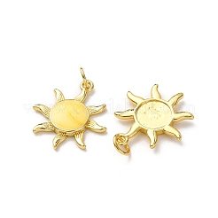 Brass Enamel Pendants&nbsp;FIND-I055-01G-02