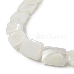 Natural Trochid Shell/Trochus Shell Beads Strands&nbsp;BSHE-G033-01
