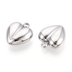 304 Stainless Steel Charms&nbsp;STAS-T065-80P