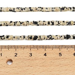 Natural Dalmatian Jasper Beads Strands&nbsp;GG-CBA2498-C09-01