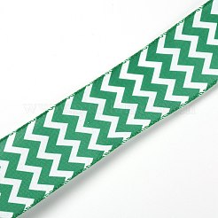 Polyester Ribbons&nbsp;OCOR-TAC0009-18D