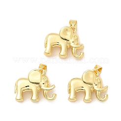 Rack Plating Brass Pendants&nbsp;KK-B068-33G