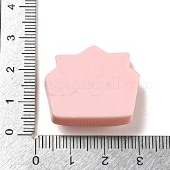 Birthday Theme Opaque Resin Decoden Cabochons&nbsp;CRES-F032-A08