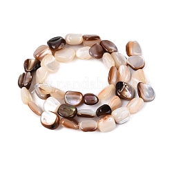 Natural Freshwater Shell Beads Strands&nbsp;SHEL-Q030-01