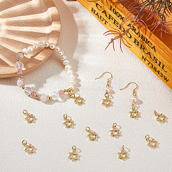 12Pcs Rack Plating Brass Micro Pave Cubic Zirconia Charms&nbsp;KK-HS0015-04