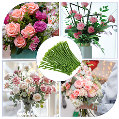 Plastic Floral Stem&nbsp;KY-WH0046-156