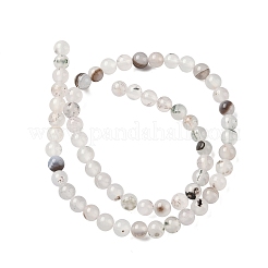 Natural Dendritic Agate Beads Strands&nbsp;G-C011-6mm-01