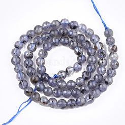 Natural Iolite/Cordierite/Dichroite Beads Strands&nbsp;G-T108-32B
