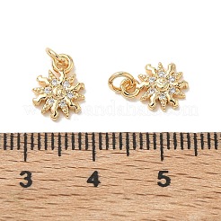 SHEGRACE Brass Micro Pave Cubic Zirconia Pendants&nbsp;XGRQ3D261-459G