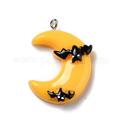 Halloween Opaque Resin Pendants&nbsp;RESI-B011-11