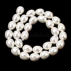 Electroplated Shell Pearl Beads Strands&nbsp;BSHE-B008-04