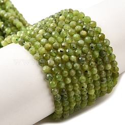 Natural Canadian Jade Beads Strands&nbsp;G-G259-D02-3mm