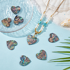 8Pcs Natural Paua Shell/Abalone Shell Pendants&nbsp;SHEL-BC0001-048A