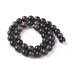 Natural Biotite Beads Strands&nbsp;G-L528-06B