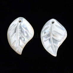 Natural White Shell Pendants&nbsp;SSHEL-S258-100C