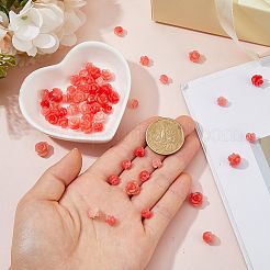 60Pcs 3 Styles Resin Beads&nbsp;RESI-HS0001-12