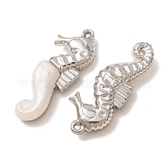 304 Stainless Steel & Resin Pendants&nbsp;RE-CBA1E3F-03B-P
