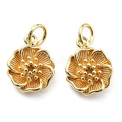 Rack Plating Brass Charms&nbsp;KK-D026-22G