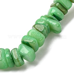 Dyed Natural Freshwater Shell Beads Stretch Bracelets for Men Women&nbsp;BJEW-JB12477-03