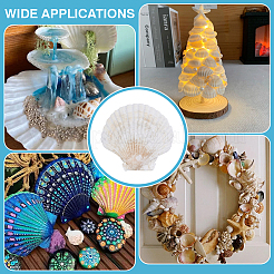 60Pcs Natural Shell Jewelry Decorative Plate&nbsp;AJEW-GA0009-64B