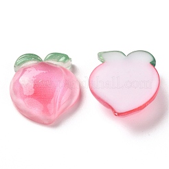Resin Decoden Cabochons&nbsp;CRES-J046-03I