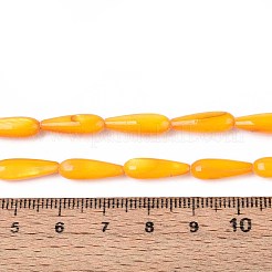 Natural Freshwater Shell Beads Strands&nbsp;SHEL-A004-03D