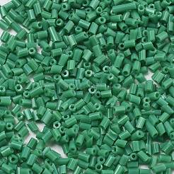 Two Cut Glass Seed Beads&nbsp;CSDB47