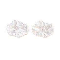 Natural White Shell Carved Leaf Beads&nbsp;BSHE-T014-31A