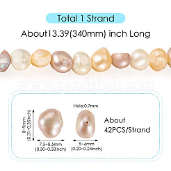 1 Strand Natural Cultured Freshwater Pearl Beads Strands&nbsp;PEAR-TA0001-17