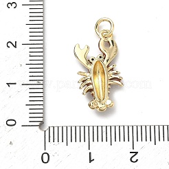 Brass Micro Pave Cubic Zirconia Pendants&nbsp;KK-H255-01B-G04